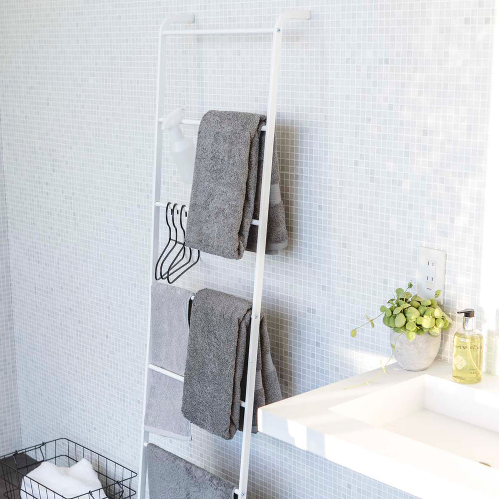 Échelle de rangement inclinable (63