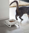 White short Yamazaki Single Pet Food Bowl in front of a cat